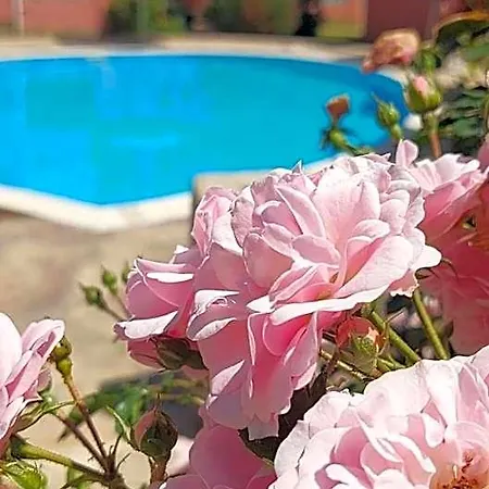 فندق In Sunny Day 6 Complex