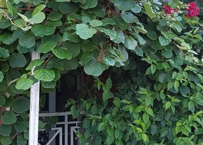 Hotel In Sunny Day 6 Complex