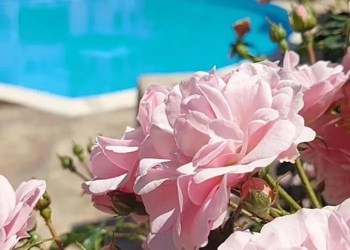 In Sunny Day 6 Complex 阳光海滩